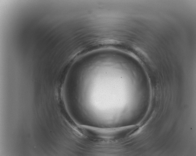 X0000072991305200607290003