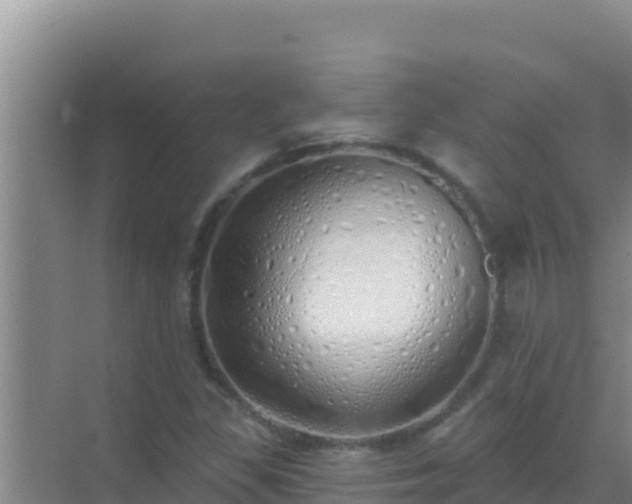 X0000072991309200607290003