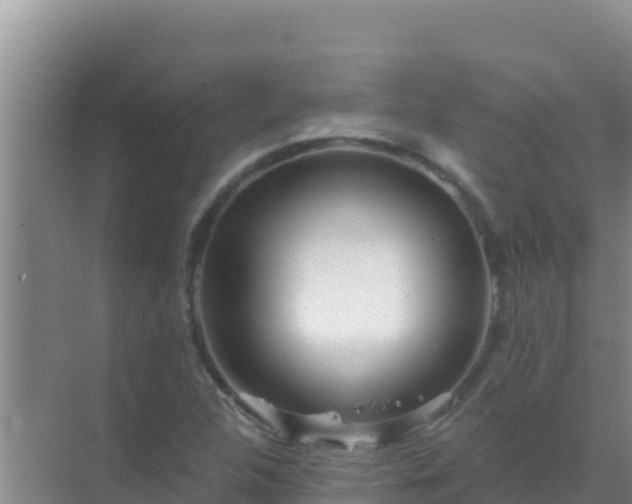 X0000072991312200607290003