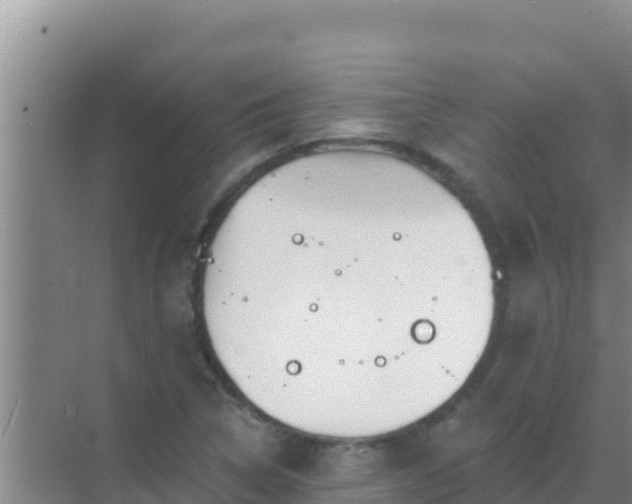 X0000072991314200607290003