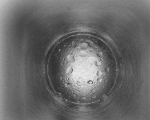 X0000072991318200607290003