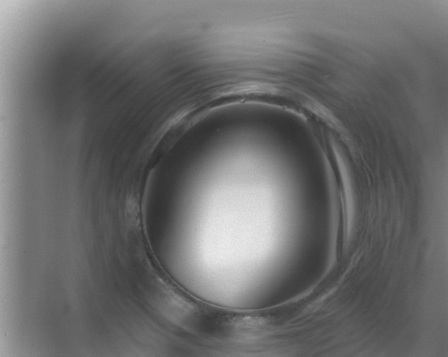 X0000072991321200607290003