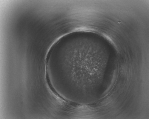 X0000072991323200607290003