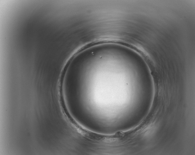 X0000072991325200607290003