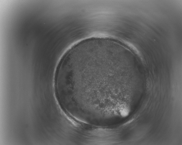 X0000072991327200607290003