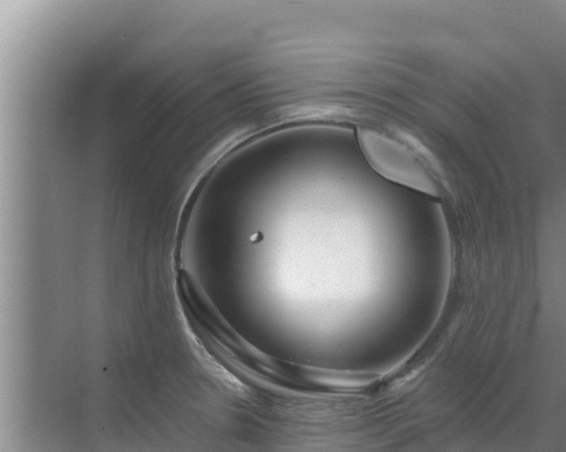 X0000072991330200607290003