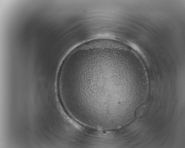 X0000072991331200607290004