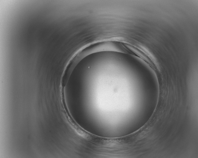 X0000072991332200607290004