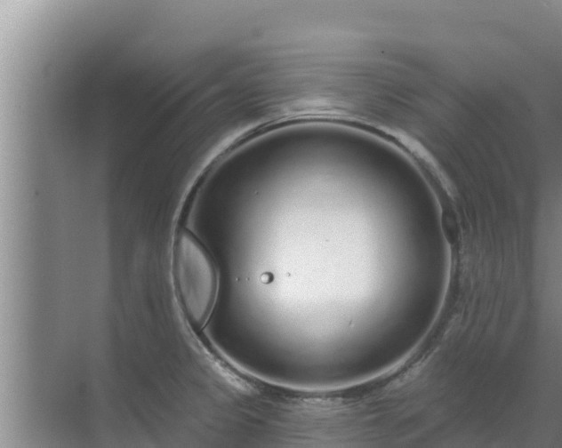 X0000072991333200607290004