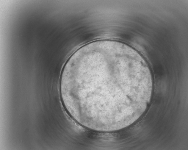 X0000072991338200607290004