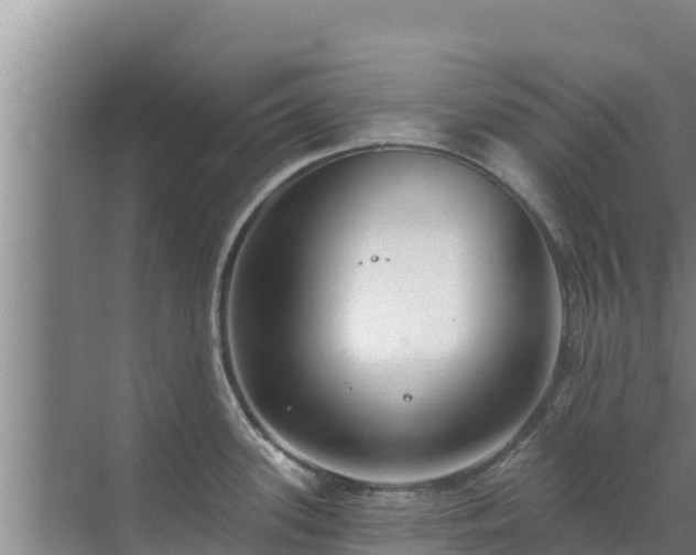 X0000072991339200607290004