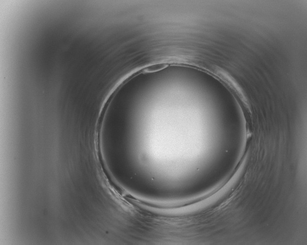 X0000072991340200607290004