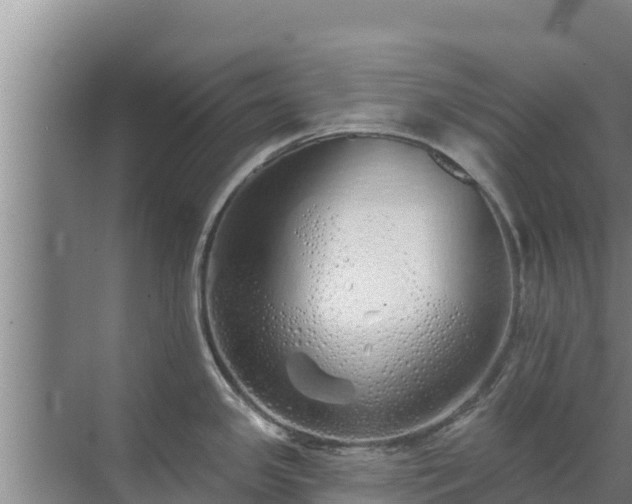 X0000072991341200607290004