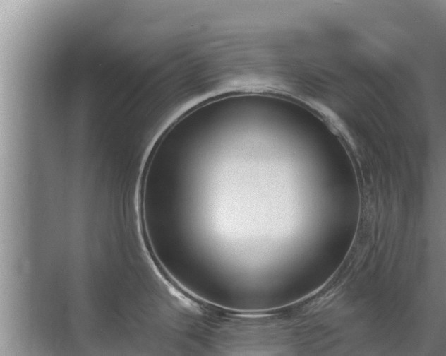 X0000072991343200607290004