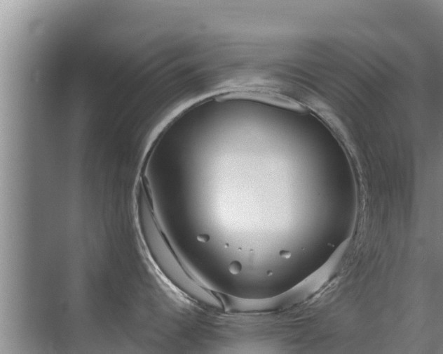 X0000072991344200607290004