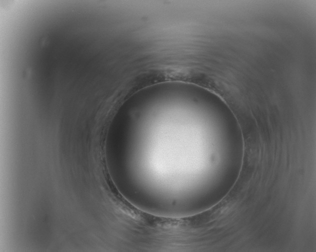 X0000072991345200607290003