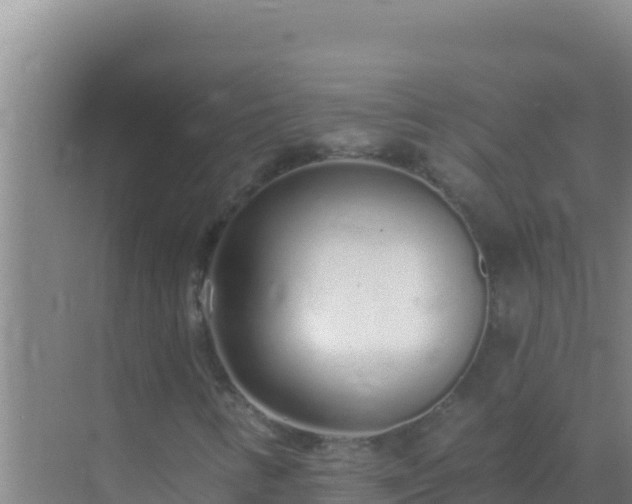 X0000072991346200607290003