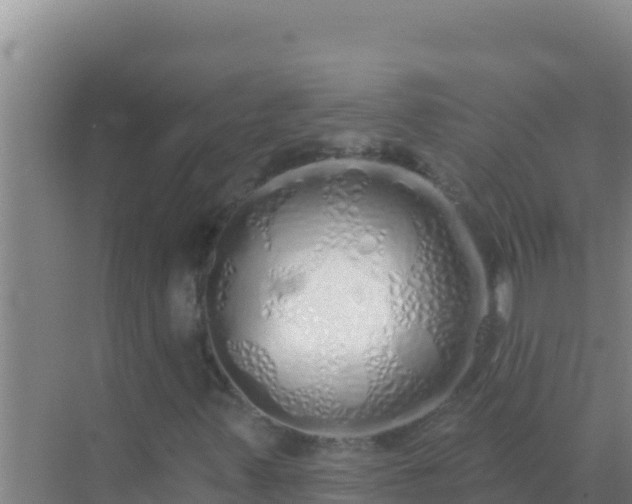 X0000072991347200607290003