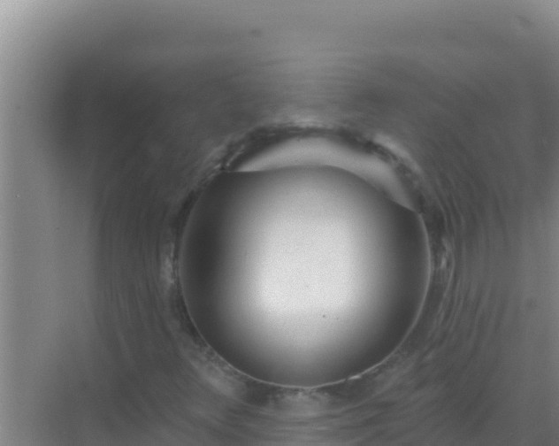 X0000072991348200607290003