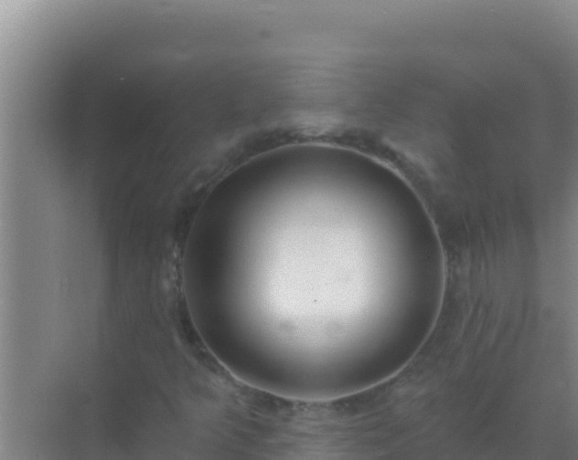 X0000072991349200607290003