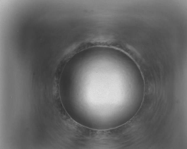 X0000072991350200607290003