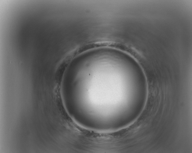 X0000072991351200607290003