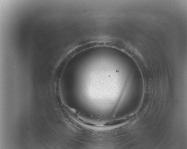 X0000072991352200607290003