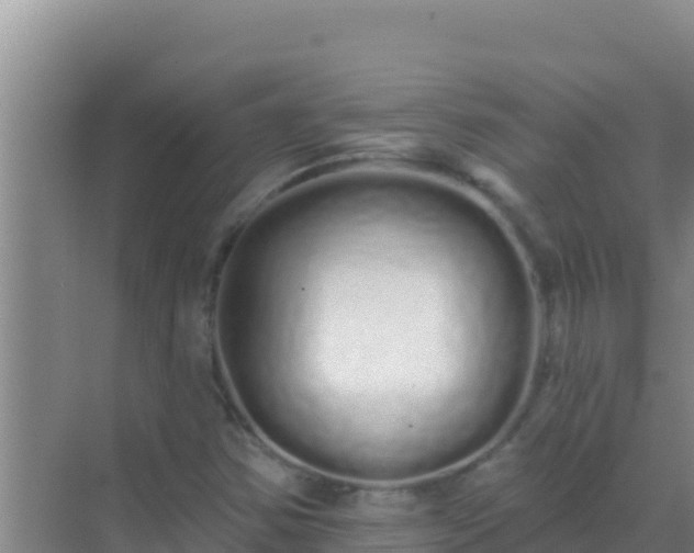 X0000072991354200607290003