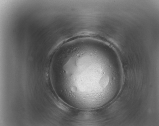 X0000072991355200607290003