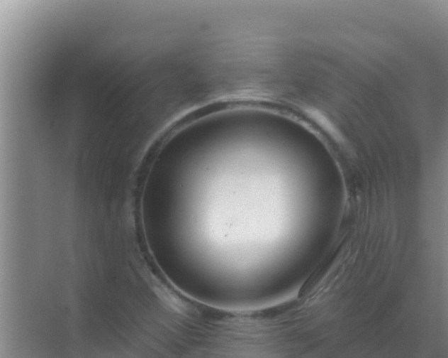 X0000072991356200607290003