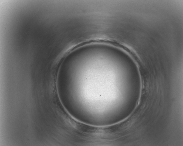 X0000072991359200607290003