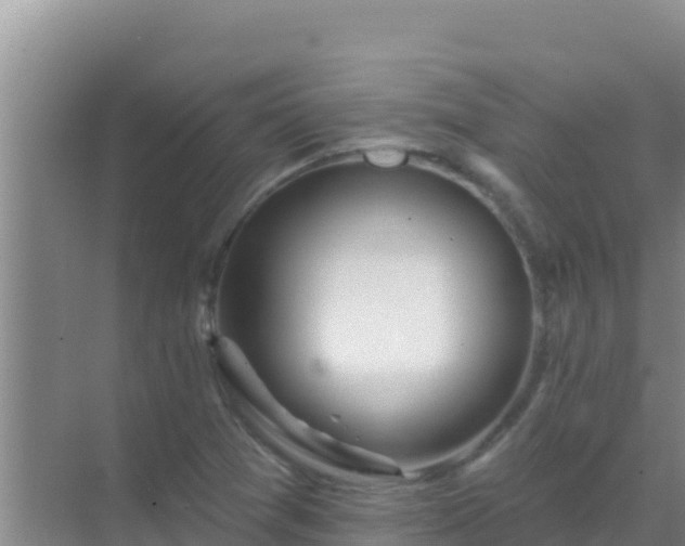 X0000072991361200607290003