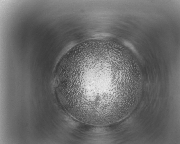 X0000072991362200607290003