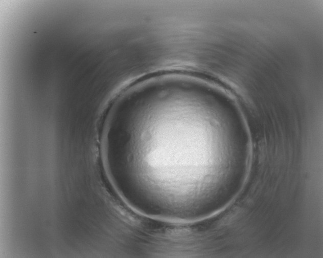 X0000072991363200607290003