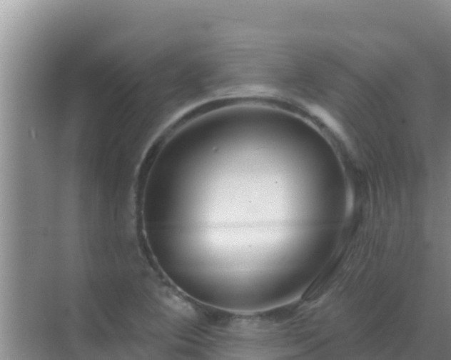 X0000072991364200607290003