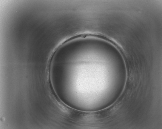 X0000072991367200607290003