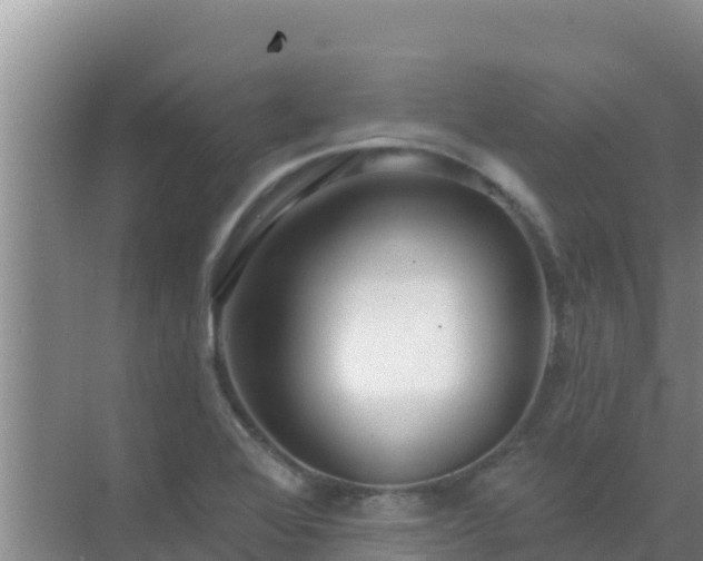 X0000072991368200607290003