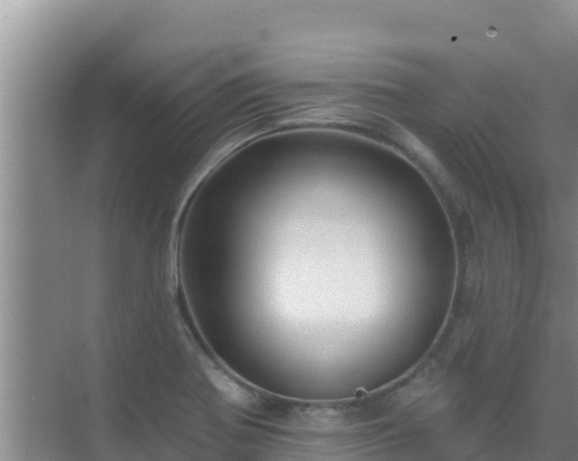 X0000072991370200607290002