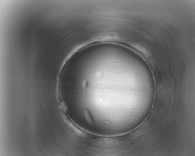 X0000072991374200607290002