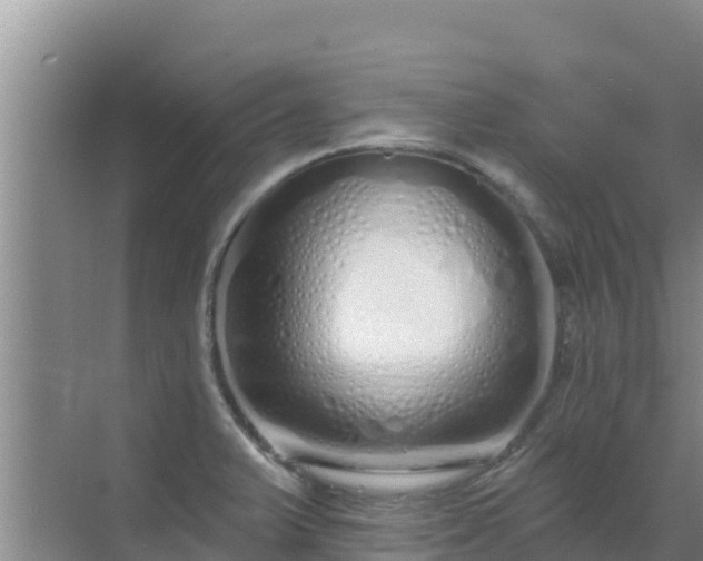 X0000072991375200607290002