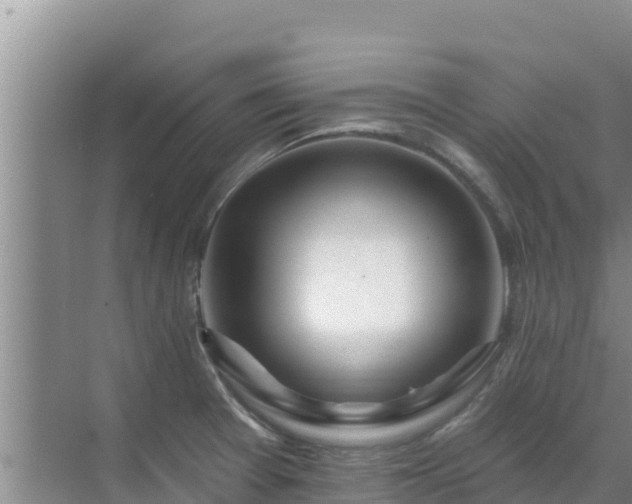 X0000072991377200607290002