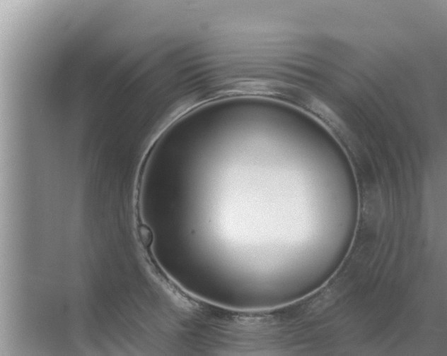 X0000072991378200607290002