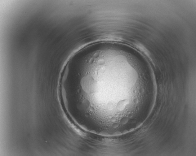 X0000072991379200607290002