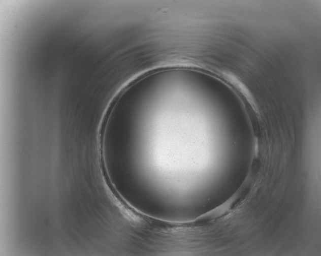 X0000072991380200607290002