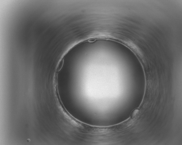 X0000072991382200607290002