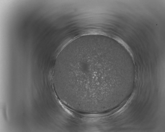 X0000072991385200607290002