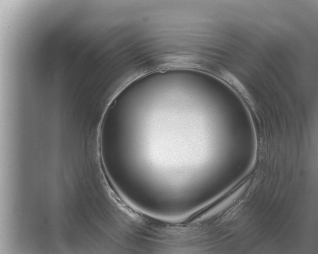 X0000072991386200607290002