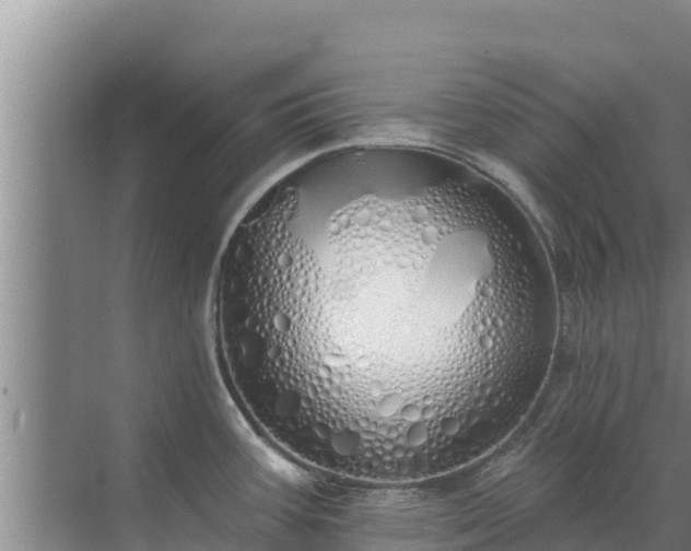 X0000072991387200607290002