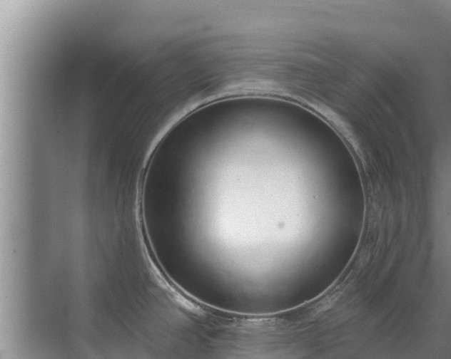 X0000072991390200607290002