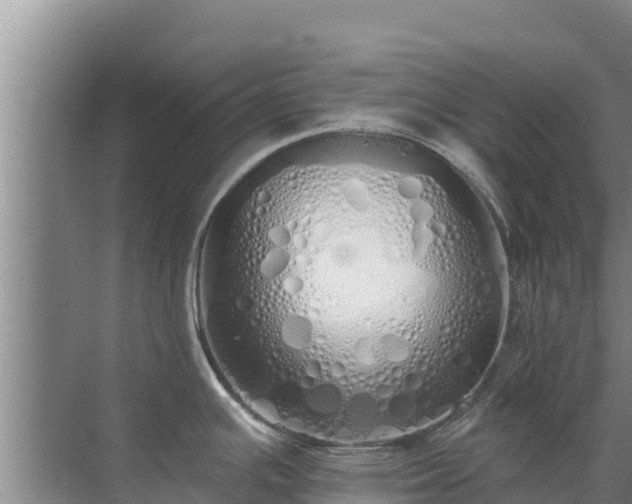 X0000072991391200607290002